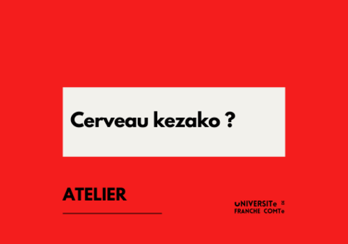 Cerveau kezako ?