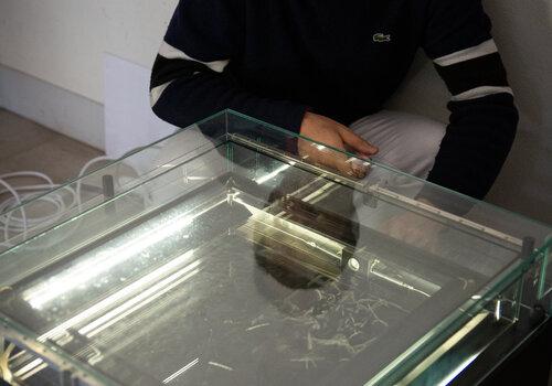 Stand animé par le Laboratoire Souterrain de Modane