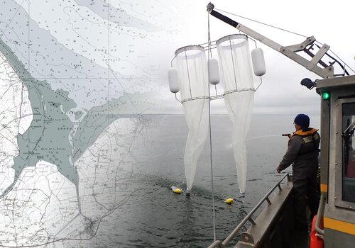 Prélèvement de microplastiques en baie des Veys