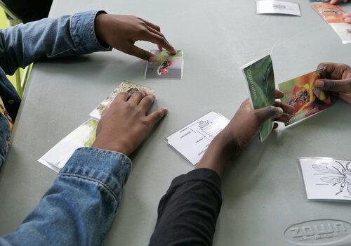 Jeu sur la biodiversité Enfants qui jouent à un jeu de carte sur la biodiversité