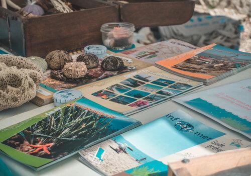 Biodiversité de la méditerranée guide et espèce en présentation