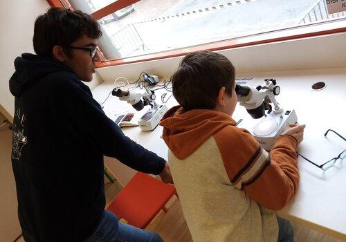 Animation Opale Village Sciences 2022