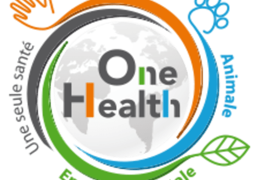 One Health, One Welfare, One World... Logo One Health