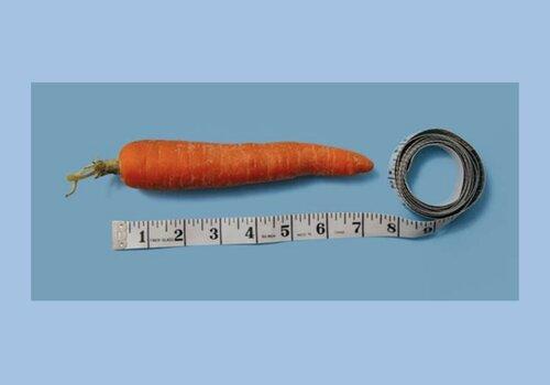 une mesure de longeur