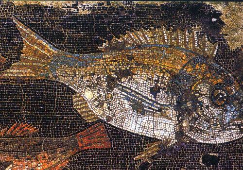 Daurade sur mosaïque, Pompéi. Mosaïque à Pompéi représentant une daurade