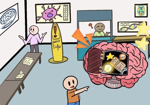 Parcours Cerveau