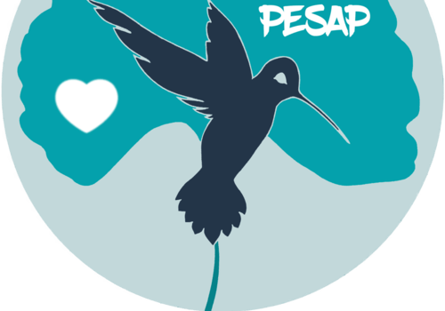 Logo de l'association pesap : santé le mouvement