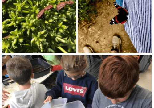 On découvre la biodiversité
