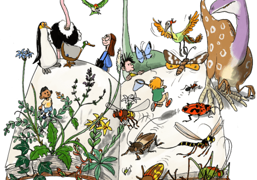 LITTTERNATURE visuel