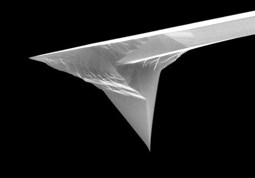 Sonde utilisée en microscopie à force atomique pour explorer les échantillons à l'échelle nanométrique