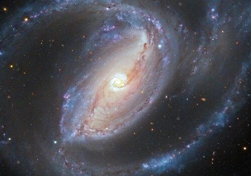 Univers