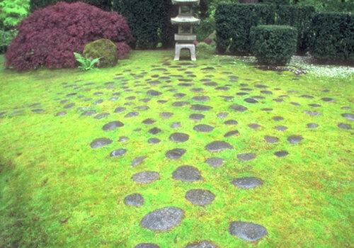 Balade nature au pays de la biodiversité