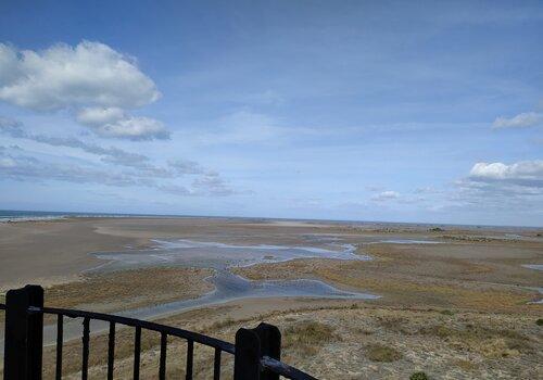 Paysage de Camargue