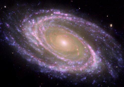Une vue composite de la galaxie M81 par les télescopes NASA Spitzer, Hubble space telescopes et NASA Galaxy Evolution Explorer.  