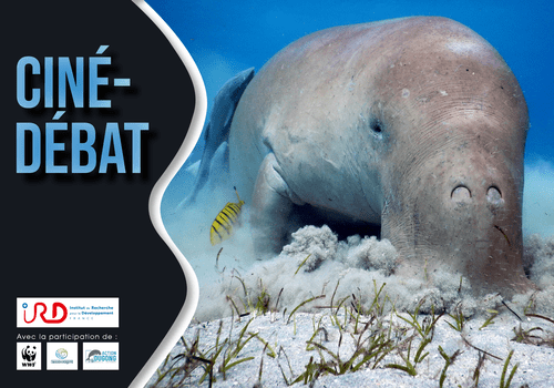 Ciné-débat Dugong, IRD et partenaires Ciné-débat Dugong, IRD et partenaires
