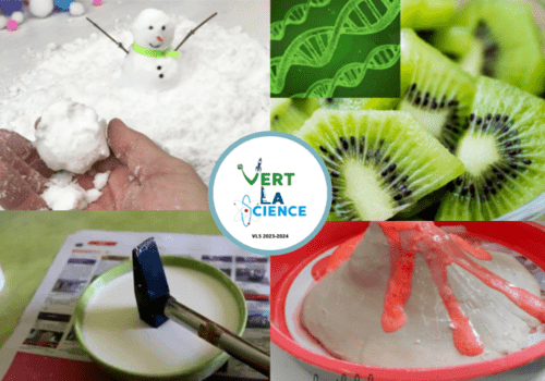 Vert La Science illustration expériences VLS