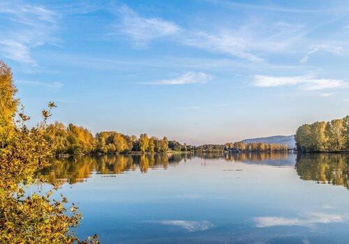 rhone