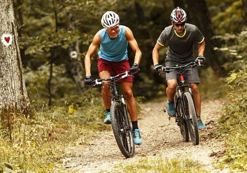 vélos