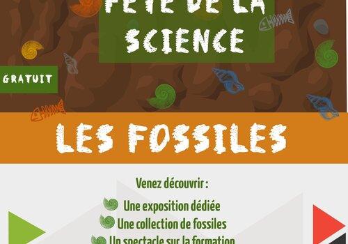 Collection de fossiles et une exposition dédiée.