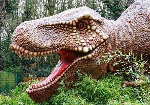 reconstitution de dinosaure