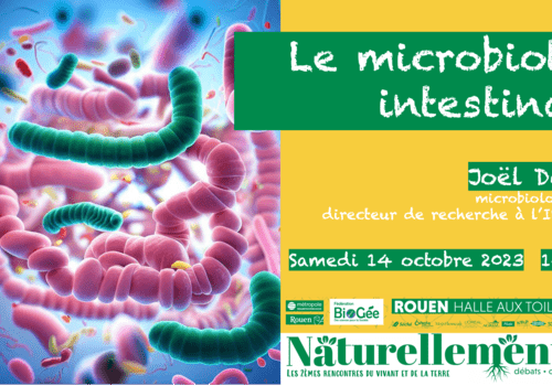 Le microbiote intestinal