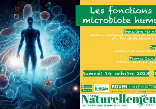 Les fonctions du microbiote humain