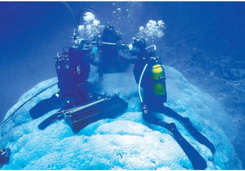 Opération de carottage sur un corail massif dans le Pacifique Sud-ouest. Opération de carottage* sur un corail massif dans le Pacifique Sud-ouest. © J. Orempuller, IRD