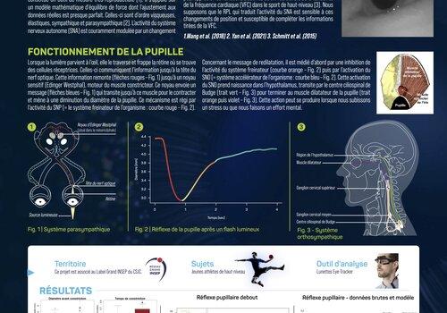 La pupille de l'oeil, un autre outil pour analyser la fatigue des athlètes La pupille de l'oeil, un autre outil pour analyser la fatigue des athlètes