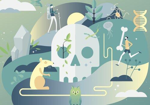 Fête de la science au Muséum Fête de la science au Muséum