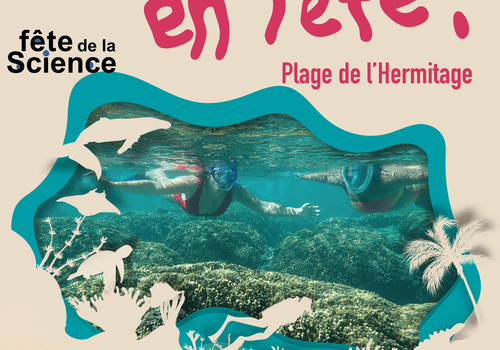 Récifs en Fête !