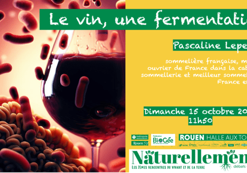 Le vin, une fermentation