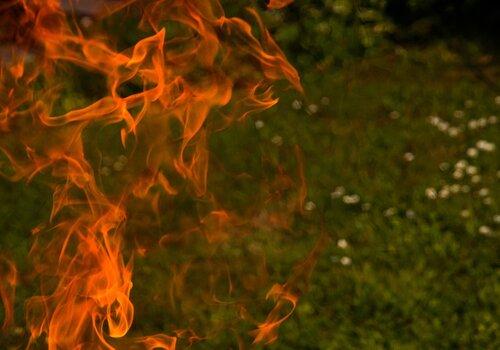 Prévenir les incendies à la racine Prévenir les incendies à la racine