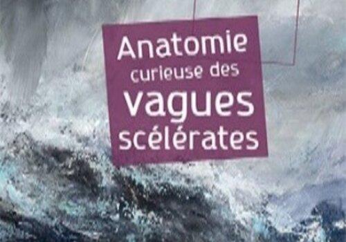 Couverture du livre "L'anatomie des vagues scélérates"
