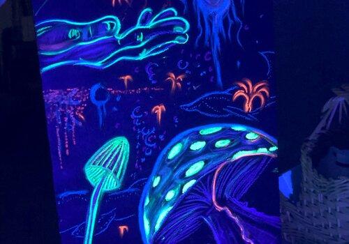 Visuel Stand Bioluminescence - Petits Débs Occitanie