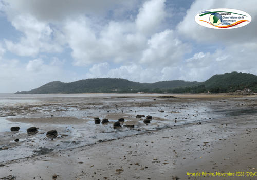Anse de Rémire, Novembre 2022
