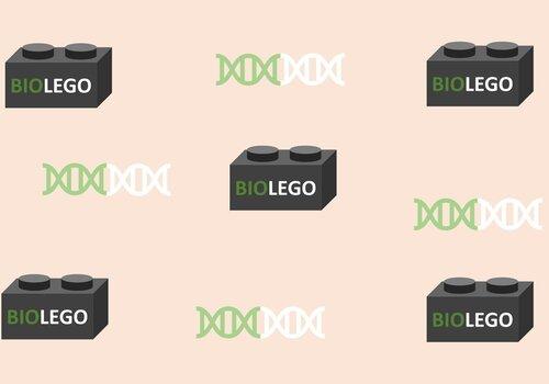 Biolego illustration de l'ADN avec des Légos