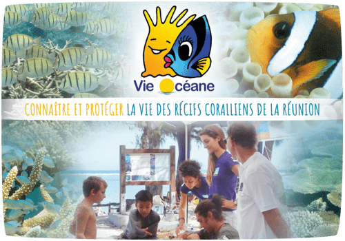 vie oceane