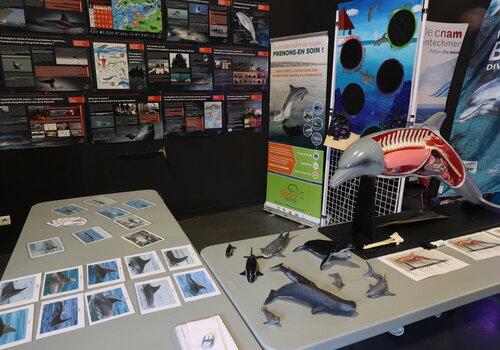 Stand du GECC. Fête de la Science 2023.