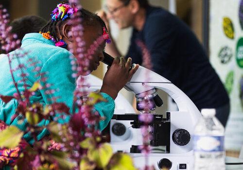 Un enfant teste un microscope
