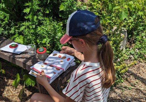 identification d'insectes