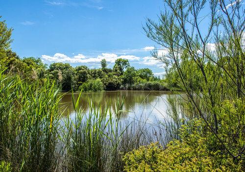 Etang - Colle du Rouet au Muy