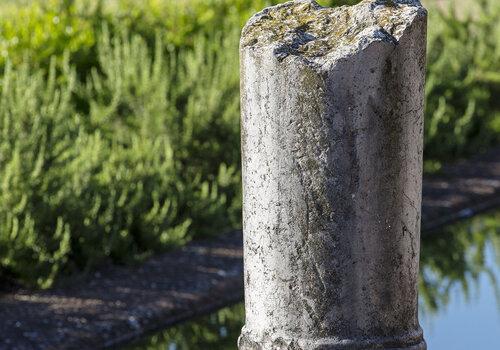 eau et nature au coeur des vestiges antiques de Saint-Romain-en-Gal colonne antique, bassin et végétation , site de Saint-Romain-en-Gal