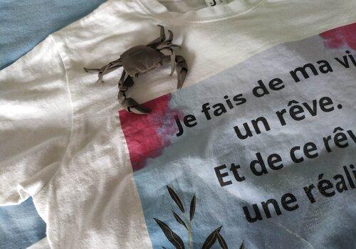 Découvrez des instruments de musique (idiophones) imprimés en 3D! Le crabe est imprimé en 3D. L'image est imprimée sur le T-shirt.