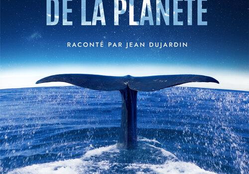 Une queue de baleine sort de l'eau 
