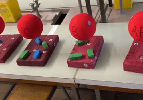 maquette des différents groupes sanguins