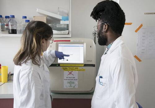 À la découverte du Centre de Recherche en Cancérologie de Lyon deux doctorants observent leurs résultats
