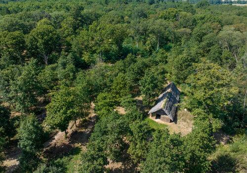 Il y a de le forêt à perte de vue. En son centre, une clairière comporte une grande maison au toit de chaume