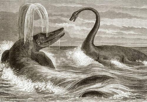 Combat entre un ichtyosaure et un plésiosaure, imaginé par Jules Verne dans "Voyage au Centre de la Terre" Combat entre un ichtyosaure et un plésiosaure