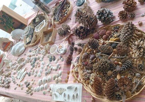 Exposition Biodiversité ECO-Lab' Environnement