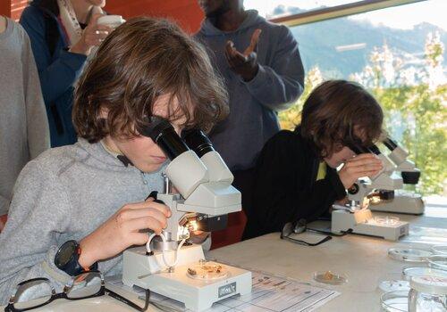 Faune et flore des cours d’eau. Indice biotique global (édition 2022 à Voreppe) Faune et flore des cours d’eau. Indice biotique global (édition 2022 à Voreppe)